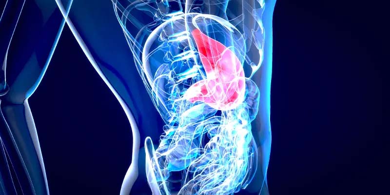 為什麼護肝這麼重要？