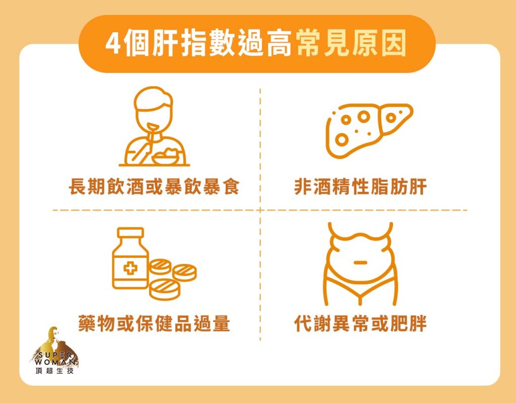 肝指數過高的原因