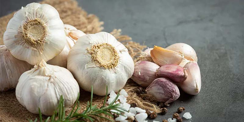 蒜頭與洋蔥