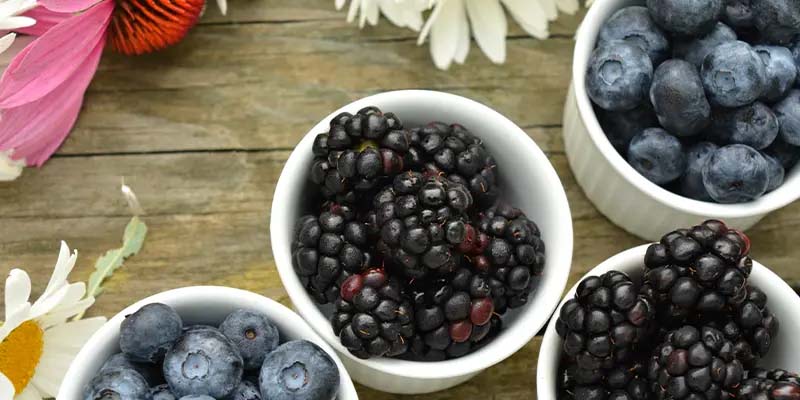 藍莓與葡萄