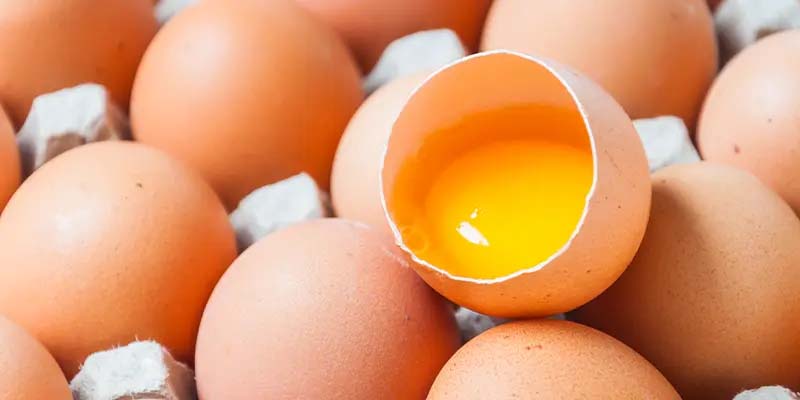 蛋黃