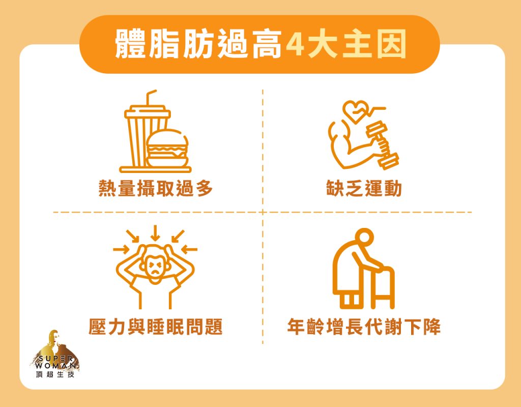 體脂過高的成因有哪些？