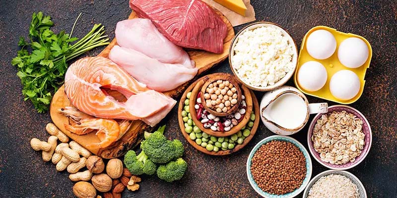 高蛋白飲食