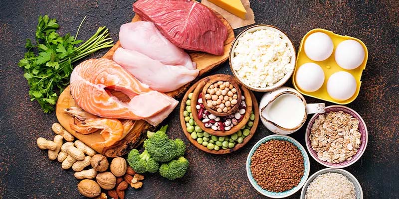 高蛋白飲食
